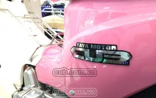 logo cub taya