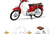 cub_81normal_do