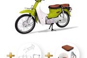 cub_81normal_xanhcom